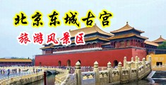 小火鸡巴双飞毛片中国北京-东城古宫旅游风景区